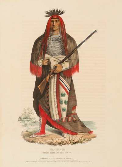 WA-NA-TA. GROSSER HÄUPTLING DER SIOUX, aus der Geschichte der Indianerstämme Nordamerikas von Charles Bird King