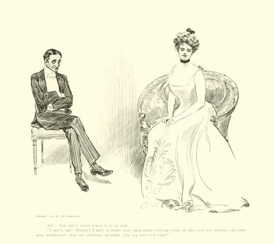 Illustration für Die soziale Leiter von Charles Dana Gibson