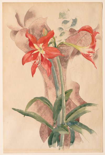 Amaryllis von Charles Demuth