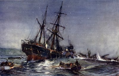 Der Untergang der Birkenhead, 1852 von Charles Edward Dixon