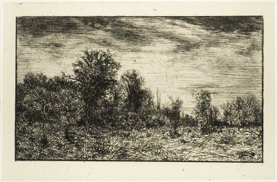 Waldrand unter bewölktem Himmel von Charles Emile Jacque