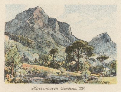 Südafrika: Kirstenbosch-Gärten, CP von Charles Ernest Peers