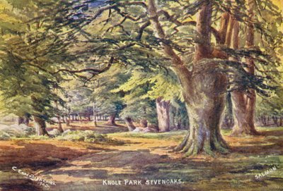 Knole House: Buchen im Park von Charles Essenhigh Corke