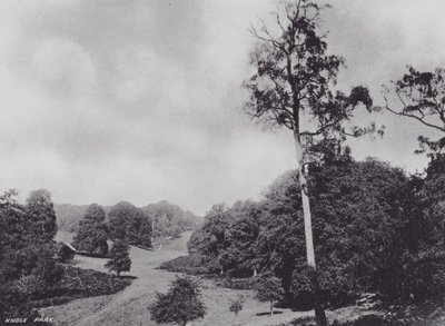 Knole Park (s/w Foto) von Charles Essenhigh Corke
