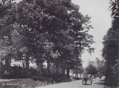 Die Sieben Eichen (s/w Foto) von Charles Essenhigh Corke