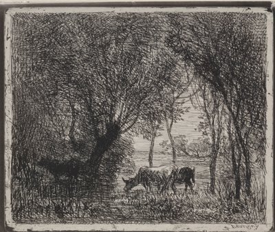 Kühe im Wald, Originaldruck 1862, gedruckt 1921 von Charles Francois Daubigny