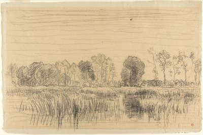 Sumpf und Baumreihe von Charles Francois Daubigny