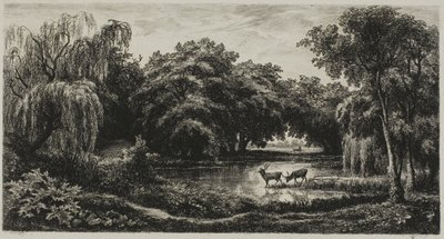 Sumpf mit Hirschen von Charles Francois Daubigny