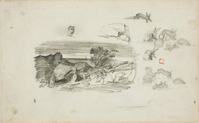 Skizzen: Felsige Umgebung und Kaninchen von Charles Francois Daubigny