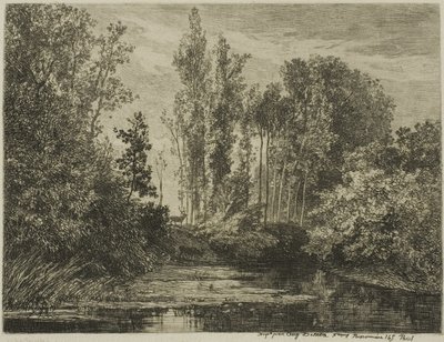 Hirsche am Wasserufer von Charles Francois Daubigny