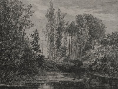 Hirsche am Wasser, 1850 von Charles Francois Daubigny