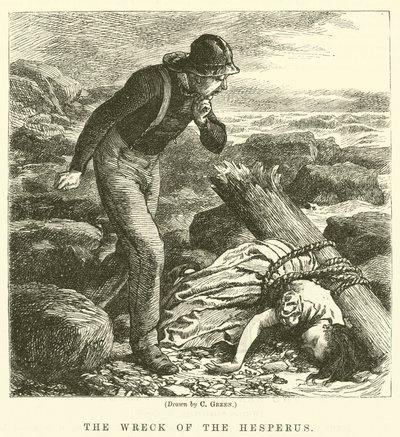 Das Wrack der Hesperus von Charles Green