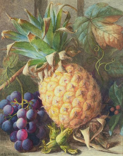 Stillleben mit Ananas und Trauben von Charles H. Slater