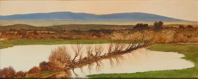 Sonnenuntergang über einem Teich von Charles Hutton Lear