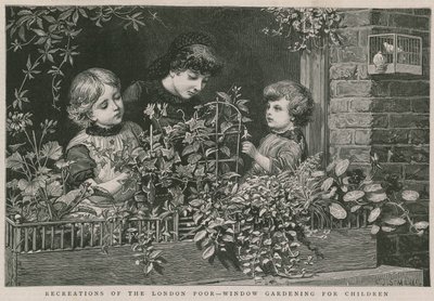 Freizeitbeschäftigungen der Londoner Armen: Fenster-Gartenarbeit für Kinder von Charles J. Staniland