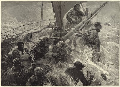 Der erbarmungslose Sturm von Charles J. Staniland