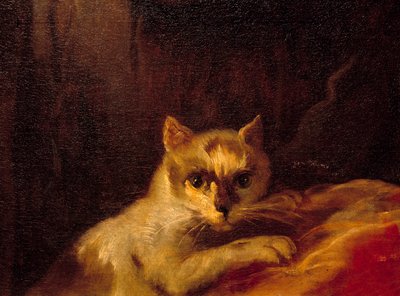 Mademoiselle de Charolais (Detail) von Charles Joseph Natoire