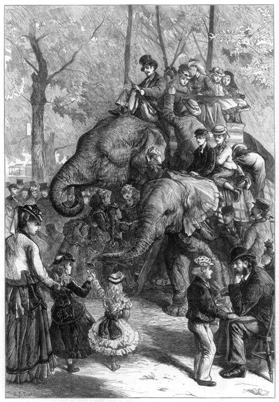 Montagnachmittag in den Gärten der zoologischen Gesellschaft, 1871 von Charles Joseph Staniland