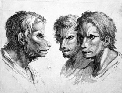 Drei Gesichter eines Werwolfs - von Le Brun von Charles Le Brun