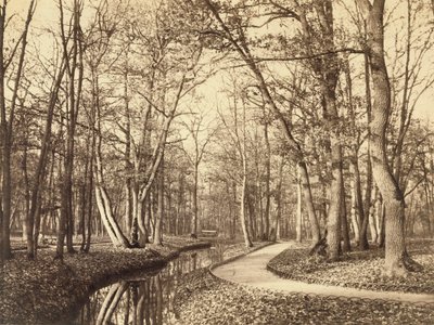  von Charles Marville