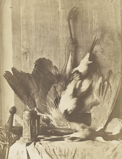 Wild-Stillleben, um 1853-55 von Charles Marville