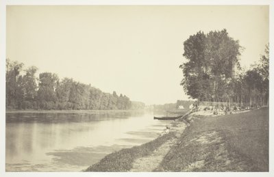 Ohne Titel, ca. 1850. [Bäume in der Nähe von Wasser im Bois de Boulogne, einem Park in Paris] von Charles Marville