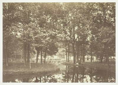 Ohne Titel, ca. 1850. [Bäume nahe Wasser im Bois de Boulogne, einem Park in Paris] von Charles Marville