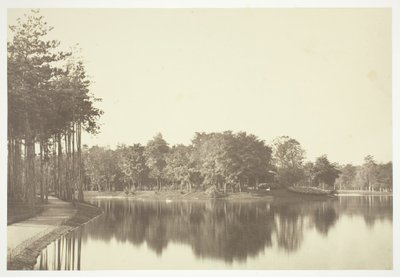 Ohne Titel, ca. 1850. [Bäume in der Nähe von Wasser im Bois de Boulogne, einem Park in Paris] von Charles Marville