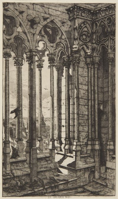 Die Galerie, Notre Dame von Charles Meryon