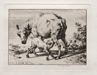 Das Mutterschaf mit zwei Lämmern von Charles Meryon