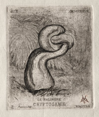 Der kränkliche Kryptogam, 1860 von Charles Meryon
