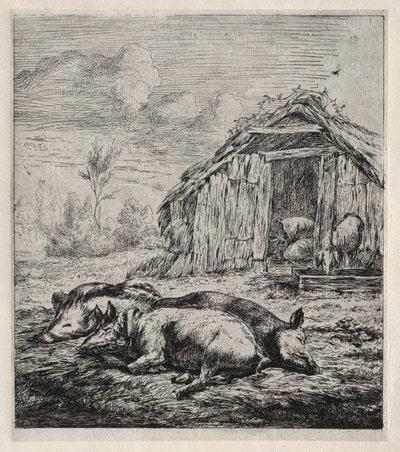 Drei Schweine vor einem Stall liegend von Charles Meryon