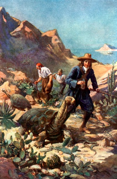 Die Riesenschildkröten der Galapagos-Inseln von Charles Mills Sheldon