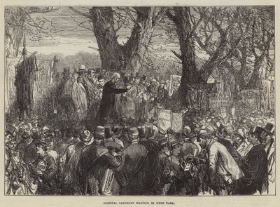 Hospital Saturday Meeting im Hyde Park von Sir John Charles Robinson