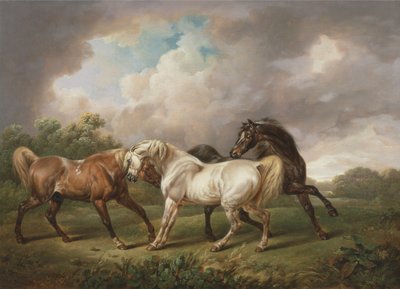 Drei Pferde in einer stürmischen Landschaft von Charles Towne