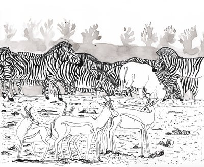 Safari 3, 2018 von Charlotte Orr