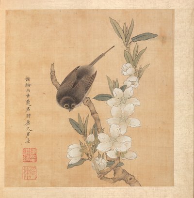 Vogel und Pfirsichblütenzweig, 1598-1652 von Chen Hongshou