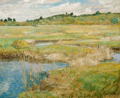 Die Concord-Wiese von Childe Hassam