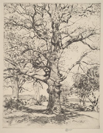  von Childe Hassam