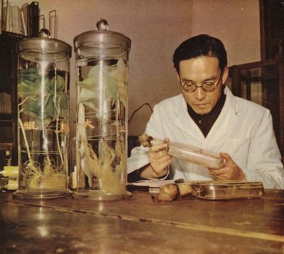 Chinesischer Agrarchemiker vom Changchun Forschungsinstitut, Volksrepublik China, 1950er Jahre von Chinese Photographer