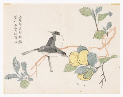 Senfkorngarten von Chinese School