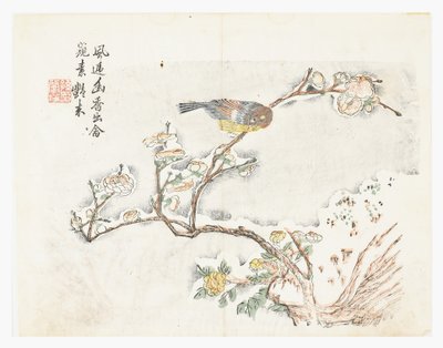 Senfkorn-Garten von Chinese School