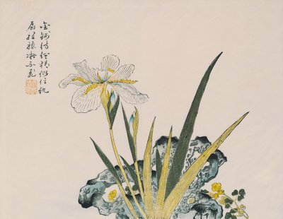 Der Garten so groß wie ein Senfkorn, 17.-18. Jahrhundert von Chinese School