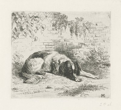 Liegender Hund vor einer Mauer von Christiaan Wilhelmus Moorrees
