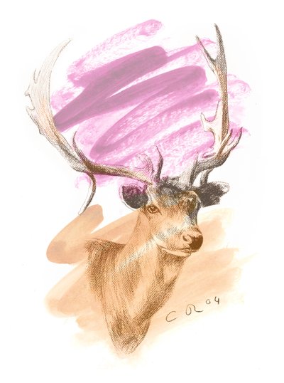Hirschkopf - Cerise Sienna, 2004 von Christian Furr