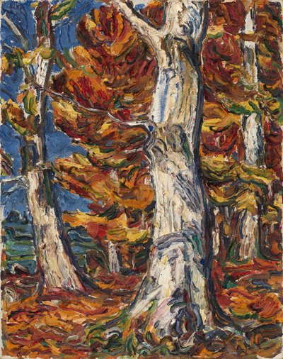 Weiße Buchen im Herbst von Christian Rohlfs