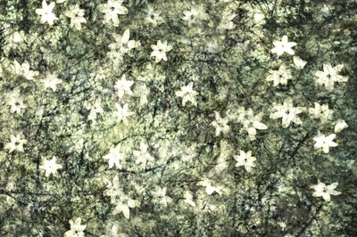 Zarte Gartenblüten von Christina Sillen