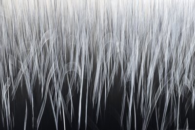 Ätherische vertikale Linien von Christina Sillen