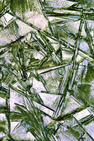 Gebrochenes grünes Eis von Christina Sillen