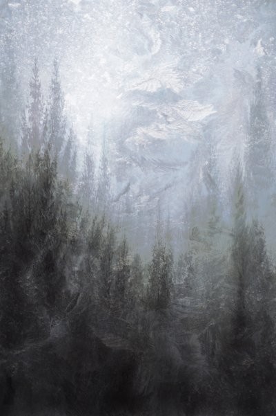 Nebliger Winterwald von Christina Sillen